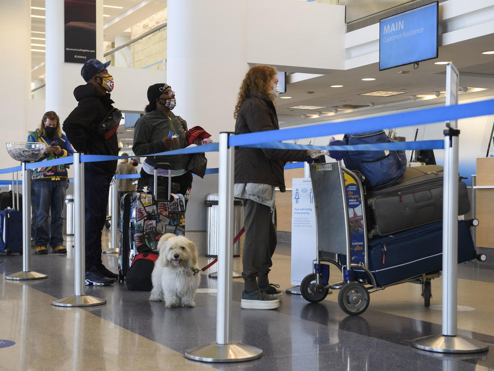 Travelers wait to check baggage for an American Airlines flight at Los Angeles International Airport on Wednesday. The Centers for Disease Control and Prevention is urging people to not travel for Thanksgiving.