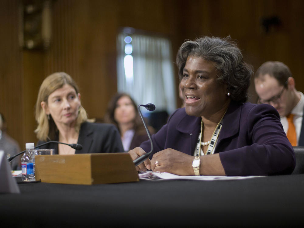 Linda Thomas-Greenfield, pictured in January 2014, is President-elect Joe Biden's choice for United Nations ambassador.