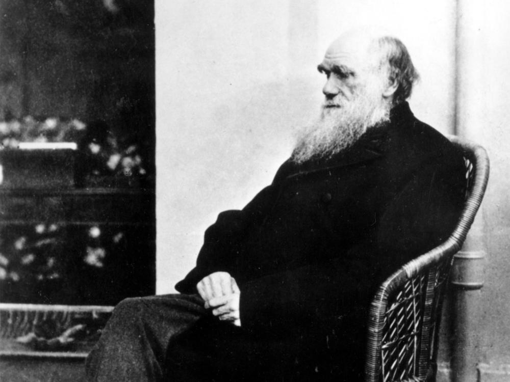 Have you seen this man's missing notebooks? Cambridge University Library appealed for public help Tuesday, saying that a pair of notebooks by Charles Darwin — seen here in 1875 — have been missing for nearly two decades.