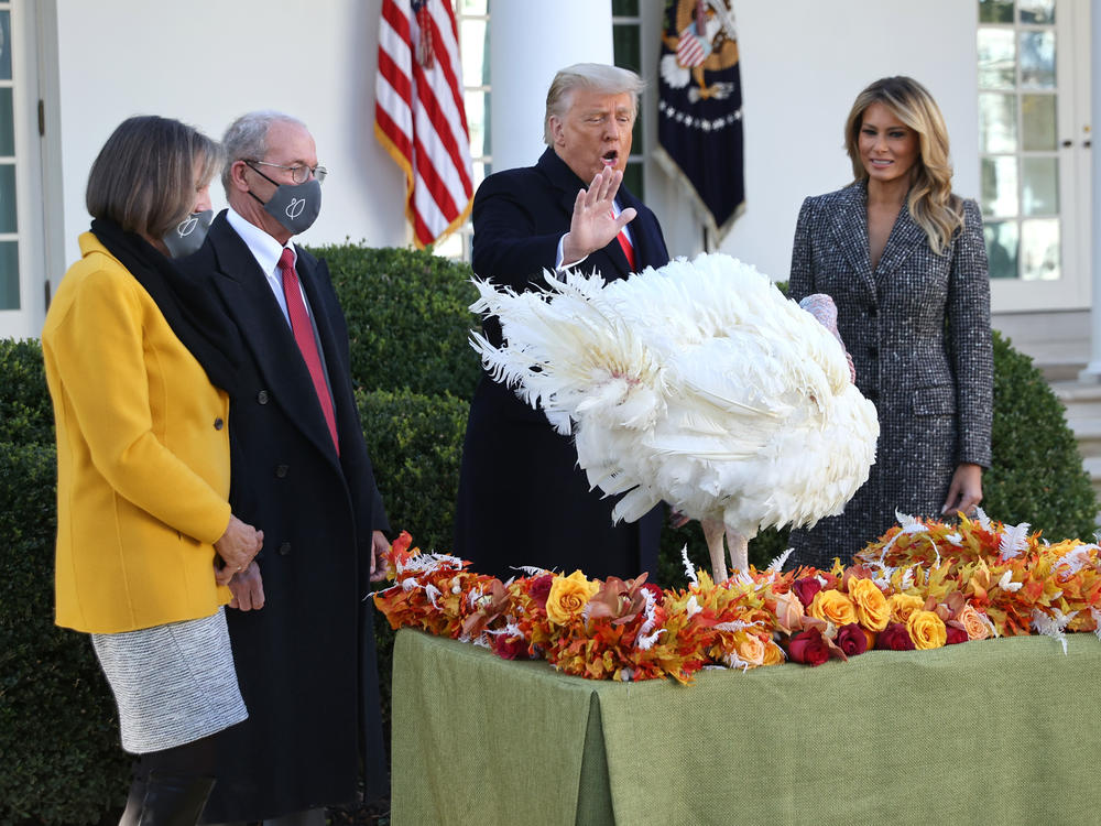 First lady Melania Trump watches as President Trump gives the turkey Corn a presidential pardon outside the White House on Tuesday.