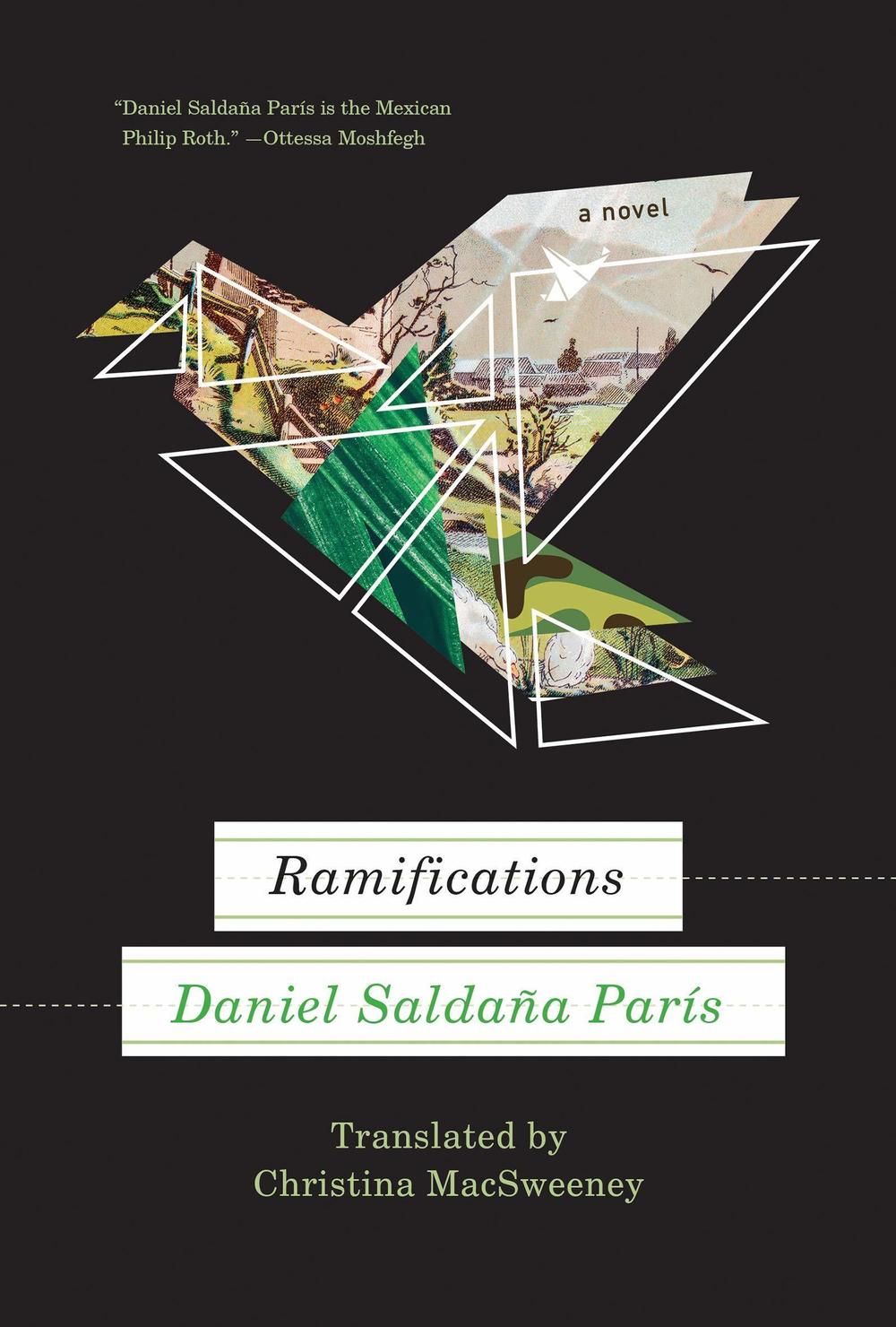 <em>Ramifications</em>, by Daniel Saldaña París