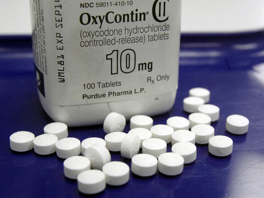 Newly public documents detail the role of members of the Sackler family, owners of OxyContin maker Purdue Pharma, during years when the privately owned drug company launched criminal schemes designed to 