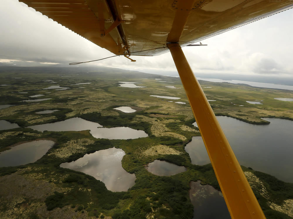 The view beneath the wing of a float plane as it flies over the wetlands, streams and lakes of Bristol Bay, Alaska.