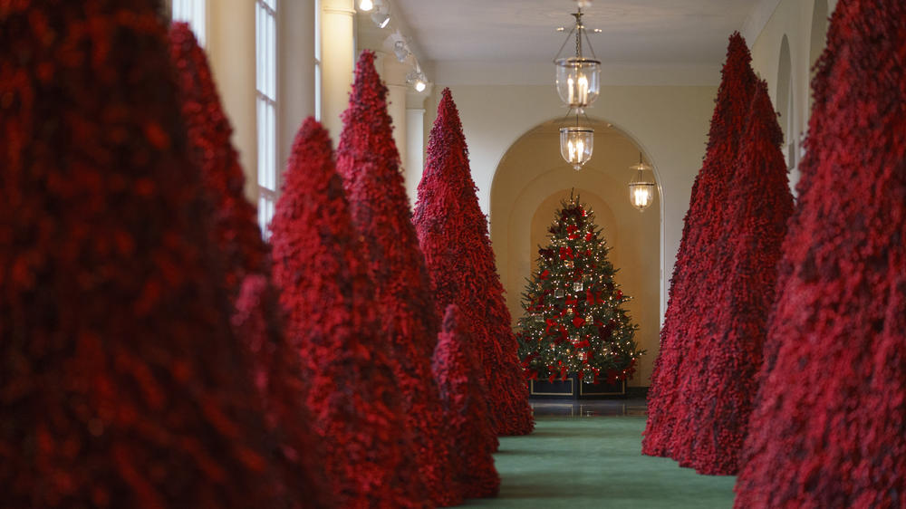 Topiary trees line the East colonnade during the 2018 Christmas Press Preview at the White House in Washington, Monday, Nov. 26, 2018. (AP Photo/Carolyn Kaster)