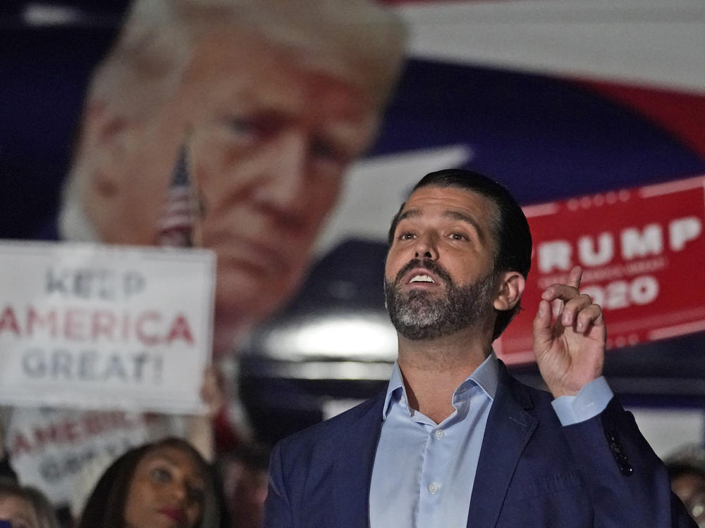 President Trump is being urged to pardon some of those closest to him preemptively, including son Donald Trump Jr.