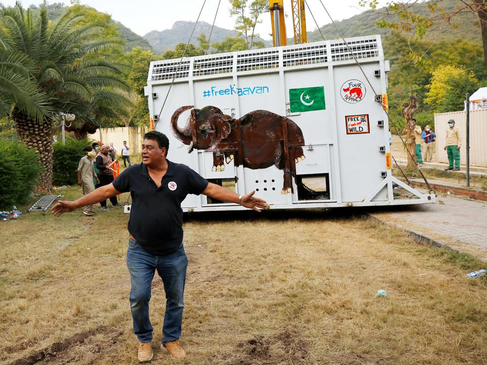 Khalil asks members of the media to stay away from a crate carrying Kaavan. The elephant's plight drew the attention and support of American pop legend Cher.