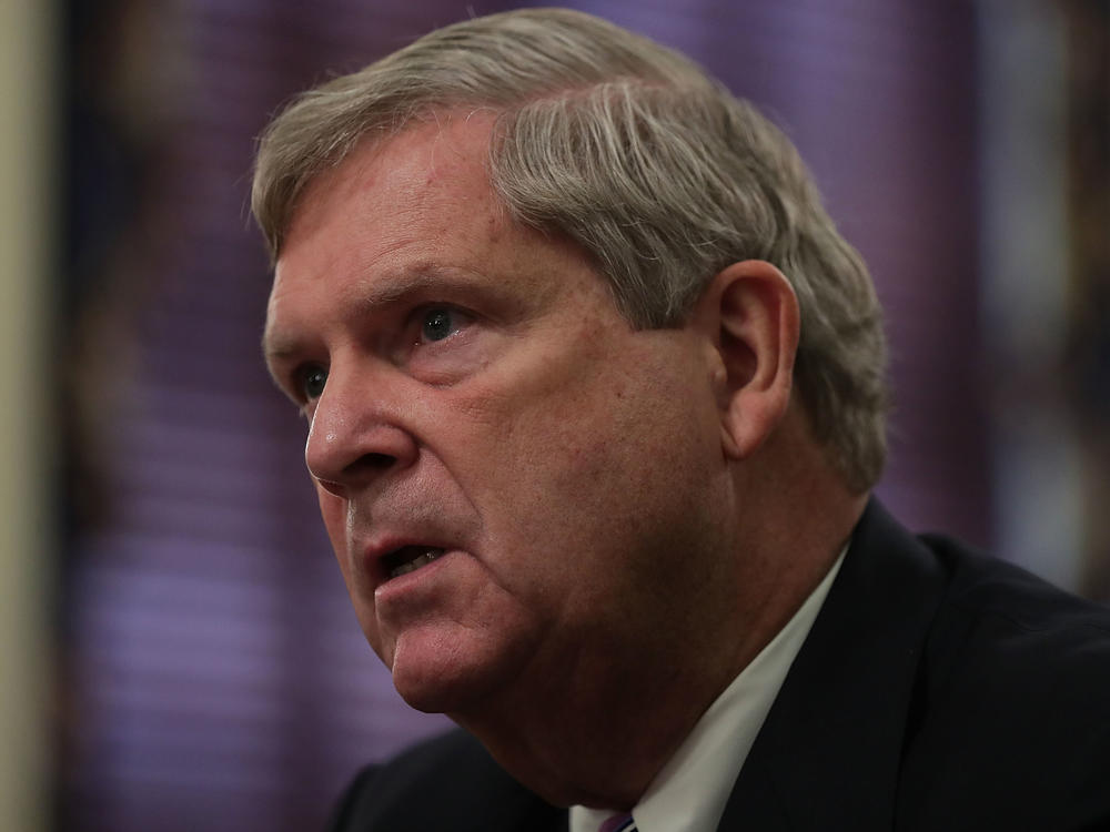 Tom Vilsack served as secretary of agriculture during the Obama administration and has been a trusted adviser to President-elect Joe Biden.
