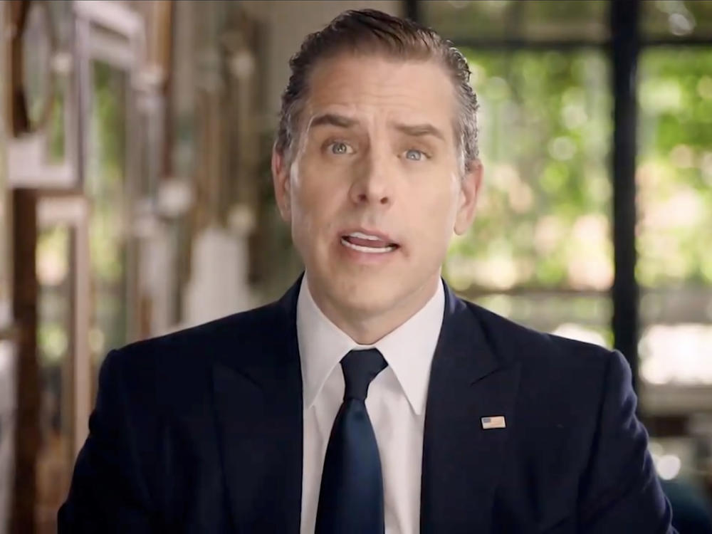 Hunter Biden makes an address virtually to the Democratic National Convention in August.