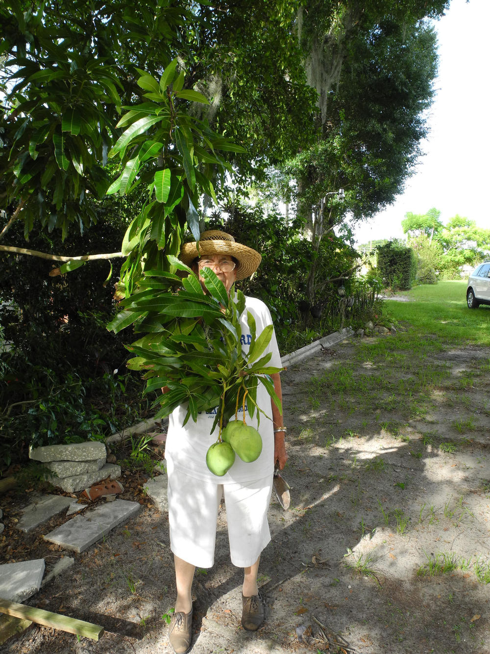 Ella Augusta Johnson Dinkins, in her 80s, standing behind a mango tree in her yard in Eatonville, Fla.