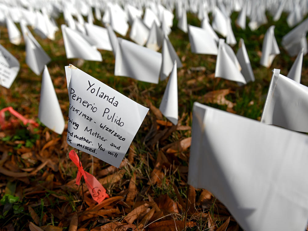 White flags planted by volunteers visualize lives lost in the U.S. to COVID-19 as part of an installation by artist Suzanne Firstenberg in Washington, D.C. The death toll has now reached 300,000.
