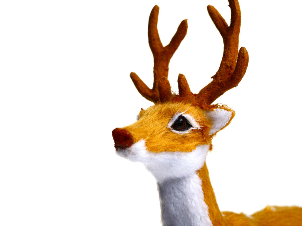 A toy reindeer is shown on a white background. Radio stations, looking to boost ratings and provide comfort in a pandemic-marred year, started playing songs as early as July. And listeners loved it.