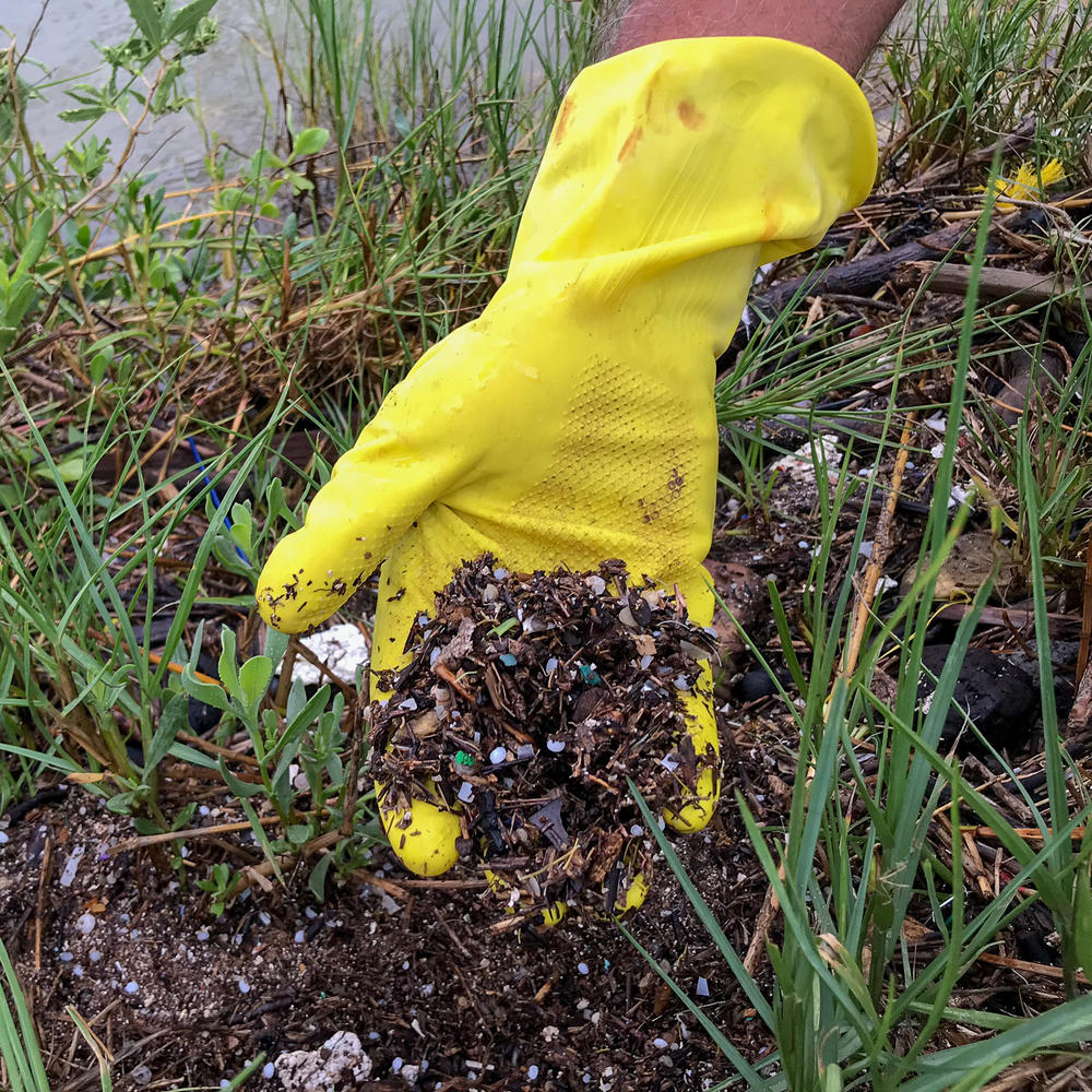 Ronnie Hamrick pulls up dirt near the Formosa Plastics Corp. plant showing dozens of pellets trapped in mud. Fish and birds often eat the pellets, thinking they are eggs.