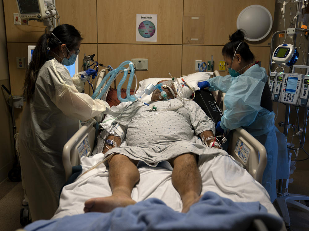 Hospitalizations and deaths from the coronavirus continue to increase this month, with the number of Americans who died in a single day from the illness surpassing 3,600.