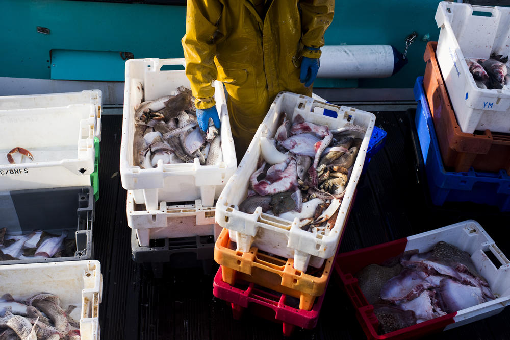 Fishermen unload and sort the day's catch from the fishing boat Laurent-Geoffrey at Quai Gambetta in Boulogne-sur-Mer, France.