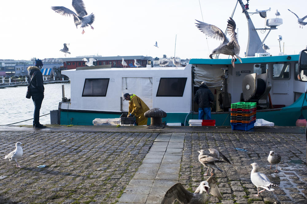 A dispute over fishing rights has been one of the main sticking points to a trade deal between the EU and the United Kingdom.