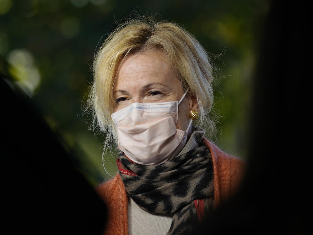 White House Coronavirus Response Coordinator Dr. Deborah Birx on Tuesday described her experience leading the task force as 
