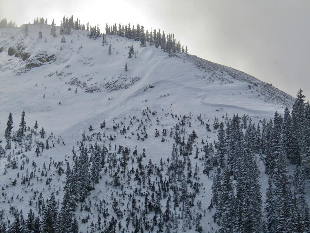 A skier was killed on Friday when he was buried in an avalanche in Colorado's Anthracite Range. The crown of the avalanche was on the right, below the rocky ridge. The debris washed through the trees below.