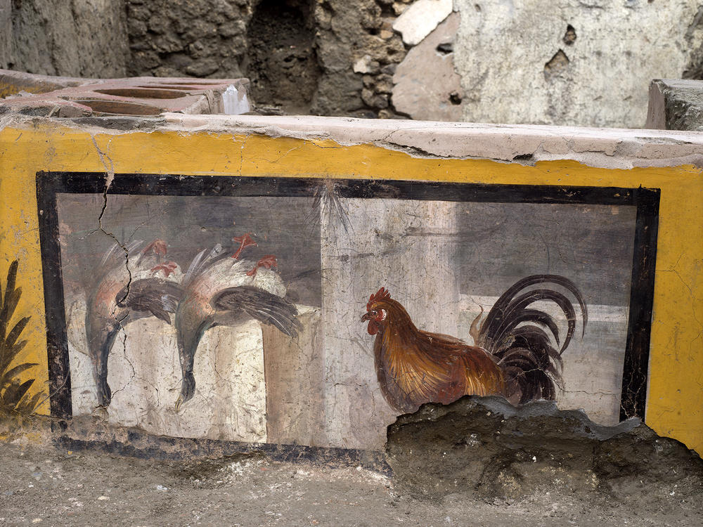 A painting adorns a counter of a thermopolium, depicting two upside-down mallard ducks and a rooster.
