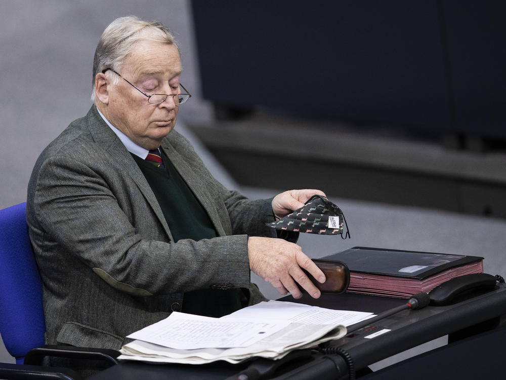 AfD parliamentary leader Alexander Gauland, shown here in the Bundestag on Oct. 29, has described the German government as a 