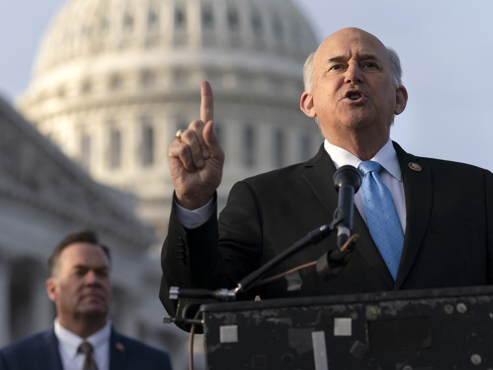 Rep. Louie Gohmert, R-Texas,  and other Republicans filed suit to give Vice President Pence authority to count the votes of alternate electors.