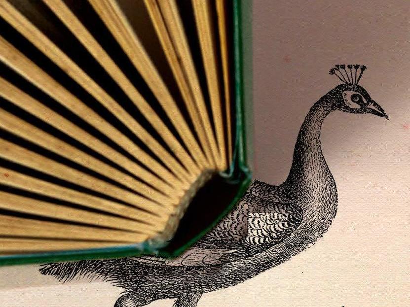 <em>The Liar's Dictionary</em>, by Eley Williams