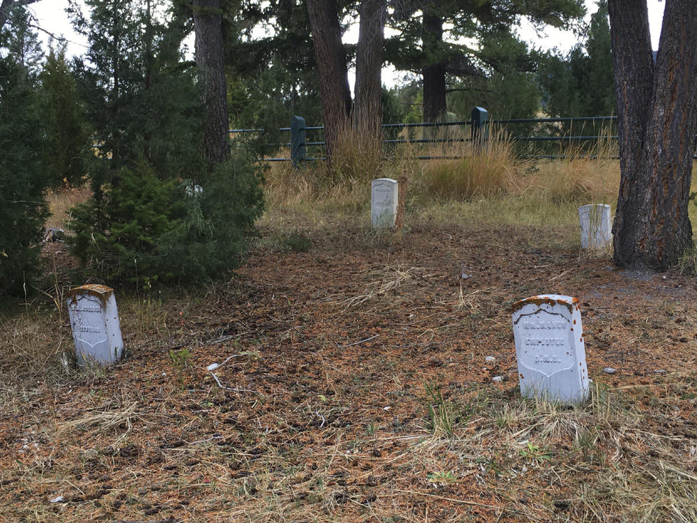 A Utah man has pleaded guilty after authorities said he was caught digging in Fort Yellowstone Cemetery, in Yellowstone National Park, Wyo., in search of hidden treasure.