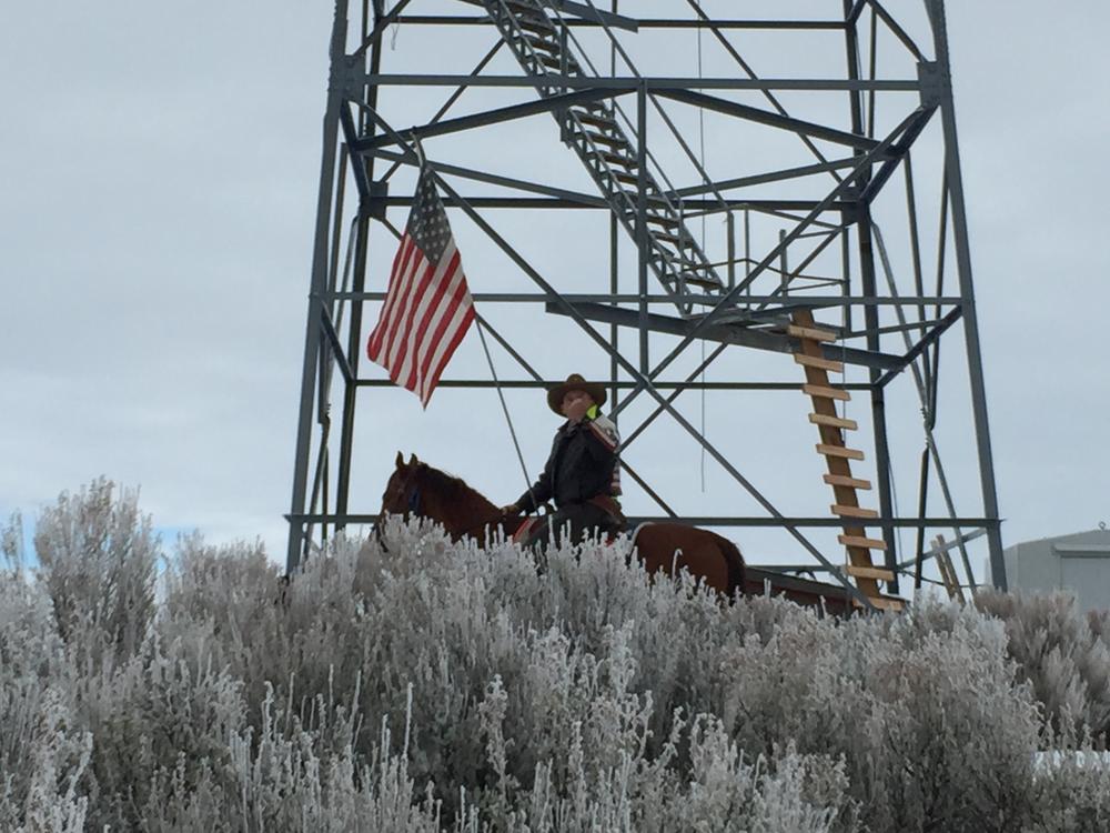 In January 2016, armed militants led by Ammon Bundy, seized the Malheur National Wildlife Refuge in Oregon in an attempt to control US public lands.
