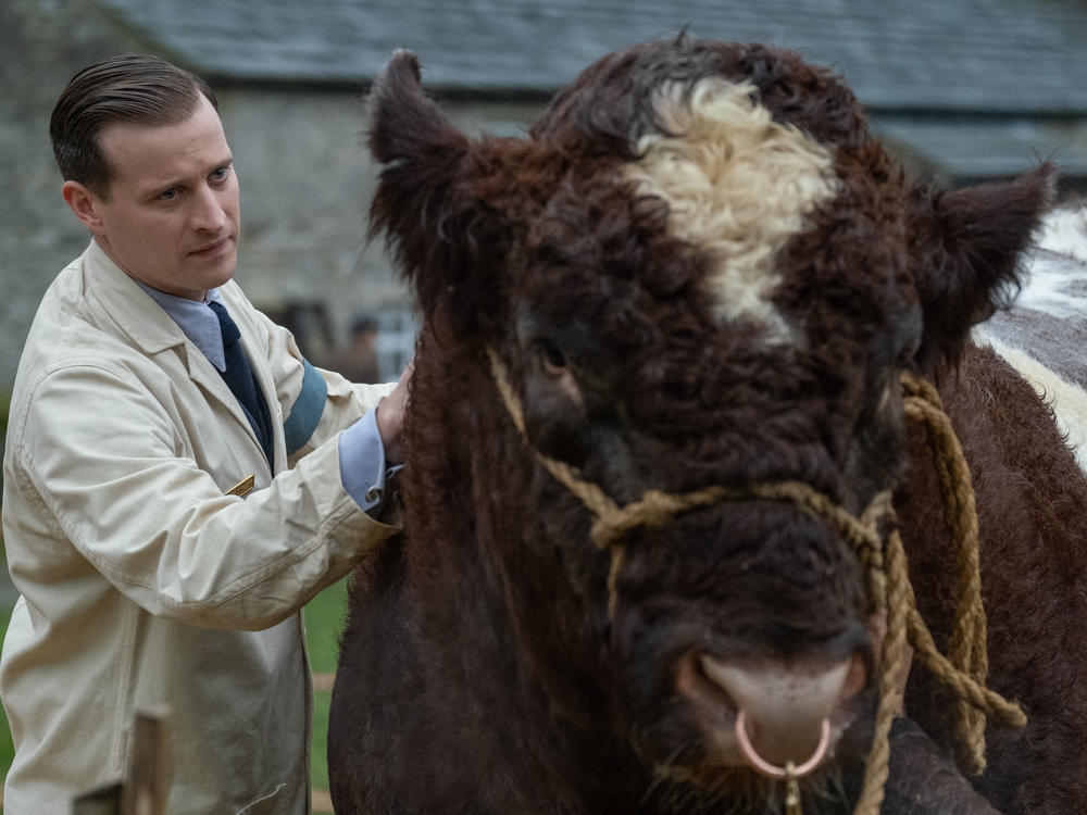 James Herriott (played by Nicholas Ralph) gets up in a lot of animals' business in the new <em>All Creatures Great And Small</em>.
