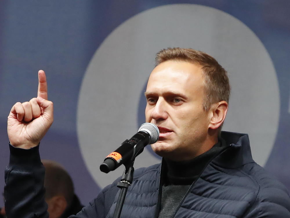 Russian opposition leader Alexei Navalny, shown here at a 2019 rally in Moscow, says he plans to return to Russia.