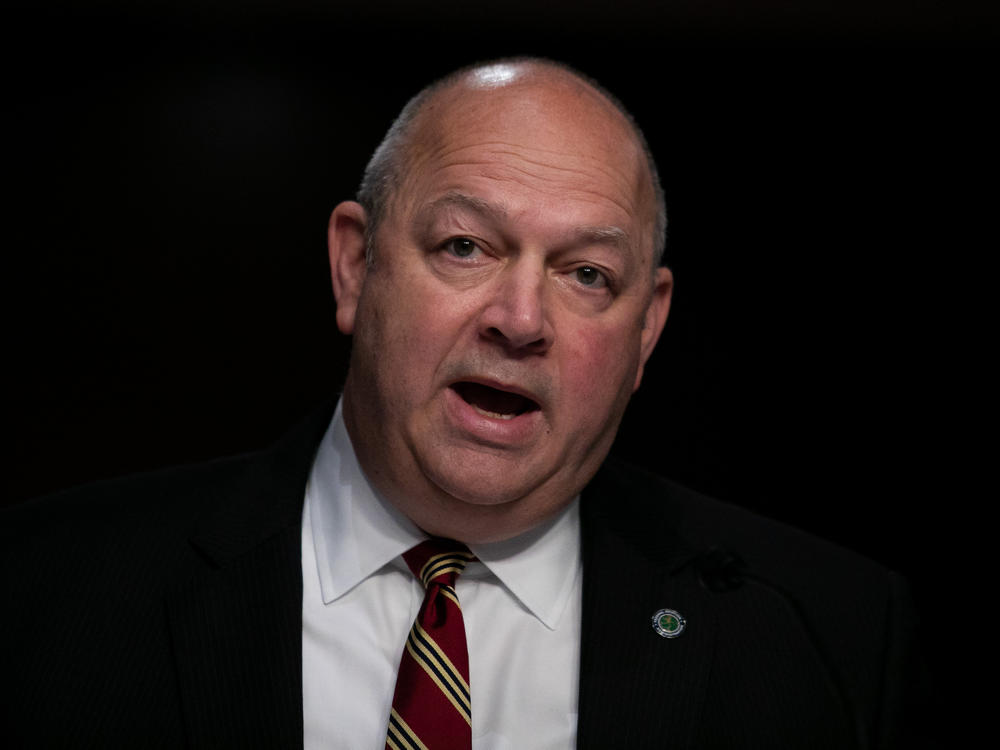 FAA administrator Stephen Dickson, seen testifying before a Senate committee last year, has ordered 