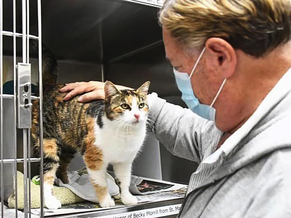 Patches is reunited with Norm Borgatello, her late owner's partner, at the Animal Shelter Assistance Program in Santa Barbara County, Calif., on Dec. 31.