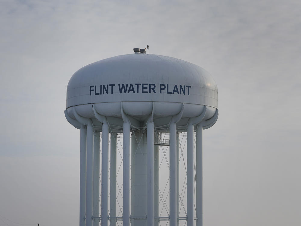 Dr. Mona Hanna-Attisha, who was among the first to raise a red flag over the contamination of the water in Flint, Mich., says the filing of charges against former Gov. Rick Snyder 