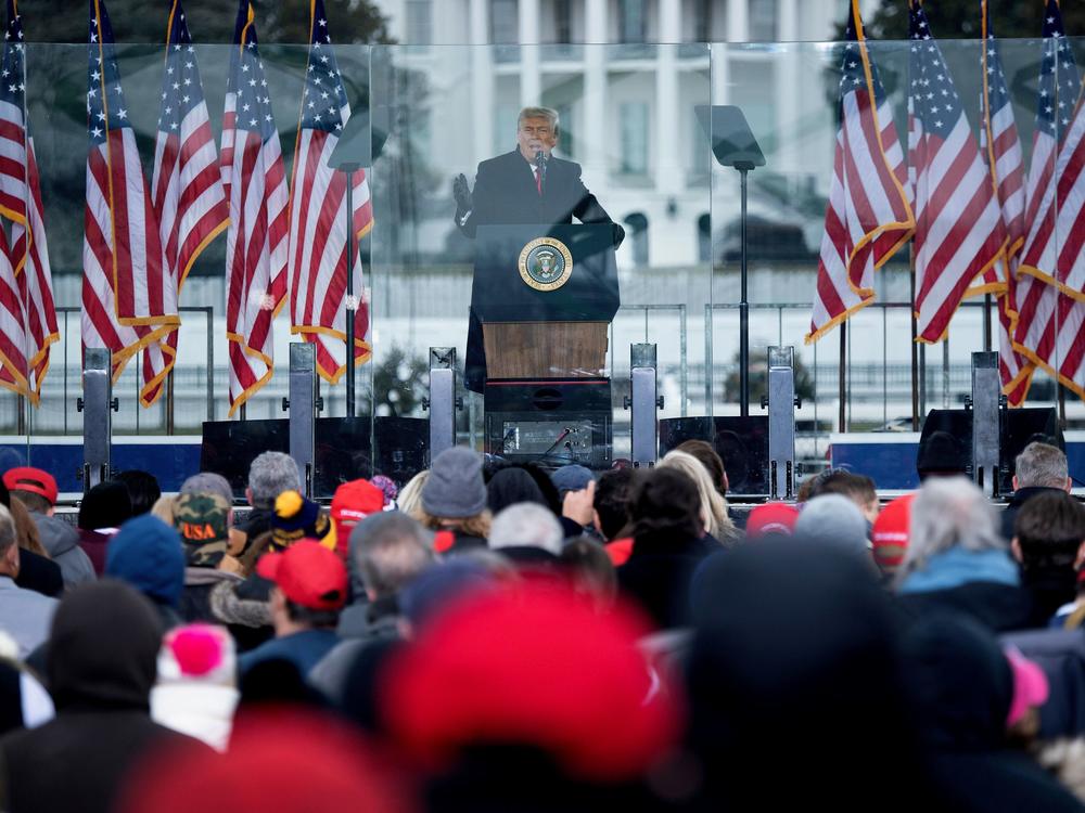 President Trump addresses his supporters at The Ellipse on Jan. 6. At his direction, crowds began marching toward the Capitol.
