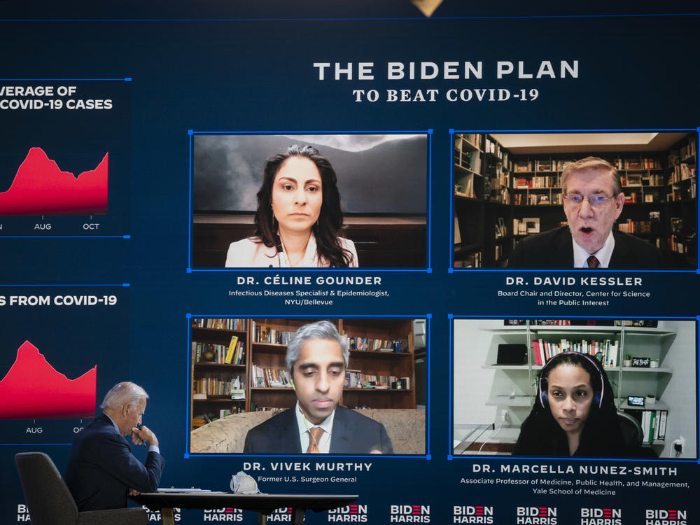 Dr. David Kessler (top right during a briefing before the election) has been a top coronavirus adviser to President-elect Joe Biden for months.