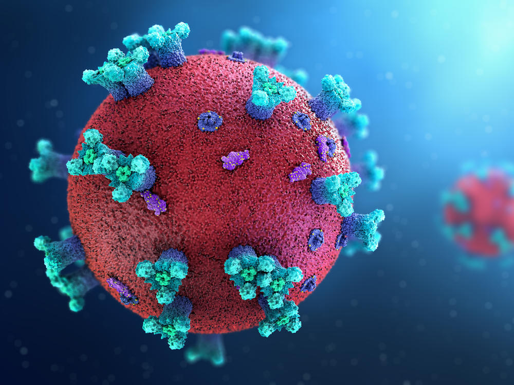 Researchers are making progress in understanding the human immune response to SARS-CoV-2, the virus that causes COVID-19, and the vaccine to prevent the disease.