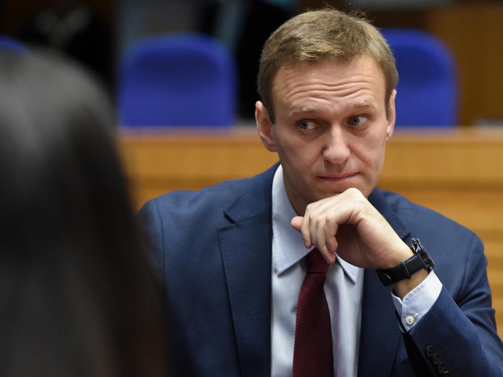 Russian opposition leader Alexei Navalny was detained on Sunday upon his arrival in Moscow. He had spent nearly the last five months recovering in Germany after being poisoned in August.