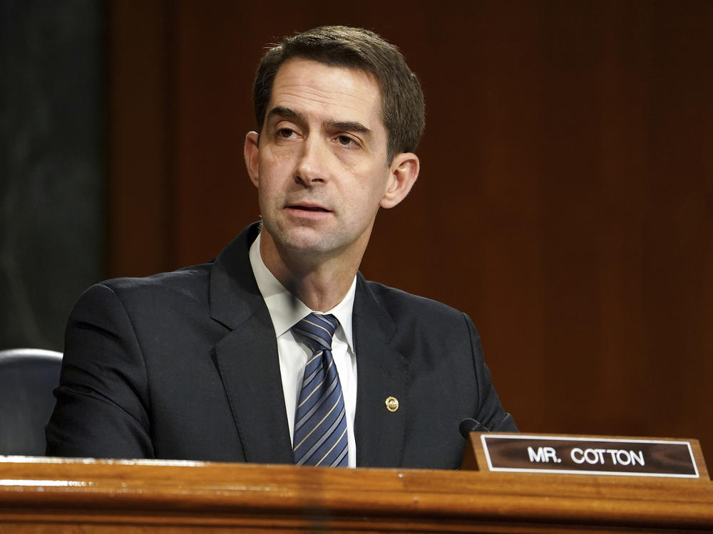 Sen. Tom Cotton, R-Ark., speaks during a confirmation hearing for Secretary of Defense nominee Lloyd Austin. Cotton said he could not support the waiver to allow Austin to serve as Secretary of Defense because he has not been out of the military for seven years. He did vote for the waiver in 2017 for President Trump's nominee to lead the Pentagon Jim Mattis.