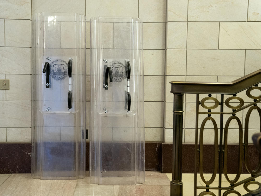 Federal prosecutors are accusing Patrick Edward McCaughey III of using a police shield to pin an officer against a door during the Jan. 6 storming of the Capitol building.