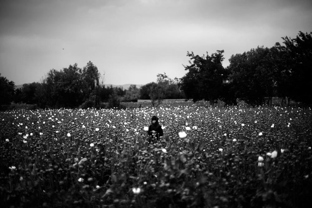 A girl stands in the middle of a poppy field as Marines pass by on patrol. <em>From the story 