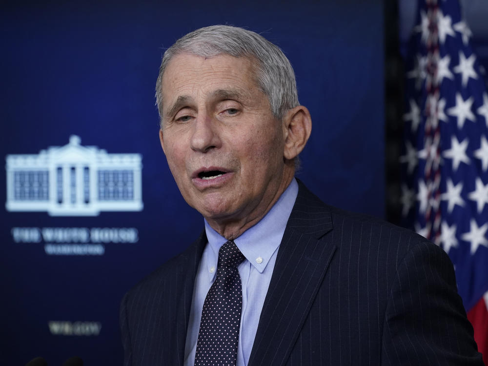 Dr. Anthony Fauci, shown here earlier this month, participated on Wednesday in the Biden administration's coronavirus team's briefing.
