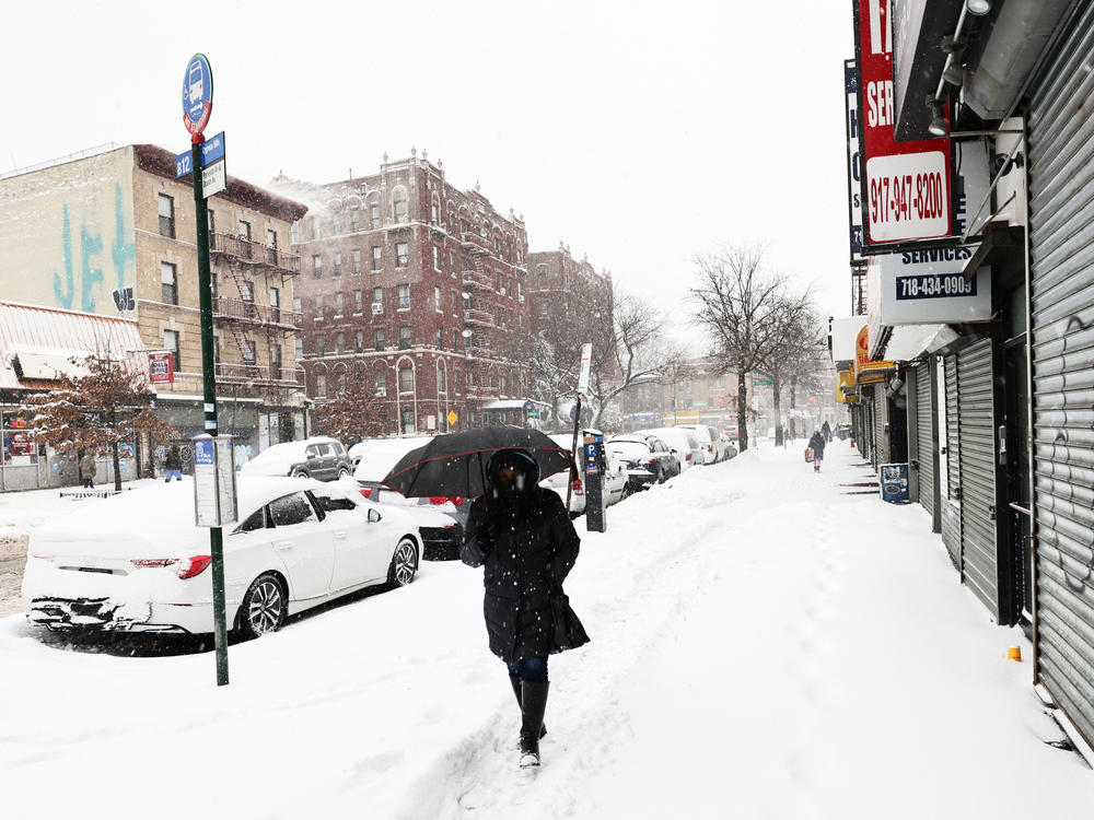 A massive winter storm is bringing heavy snowfall and strong winds to neighborhoods across the Northeast, like this one in Brooklyn, New York.