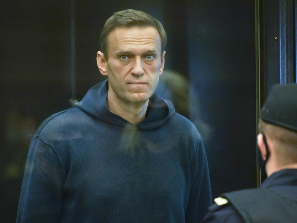 Russian opposition leader Alexei Navalny appears in the Moscow City Court in Moscow on Tuesday.