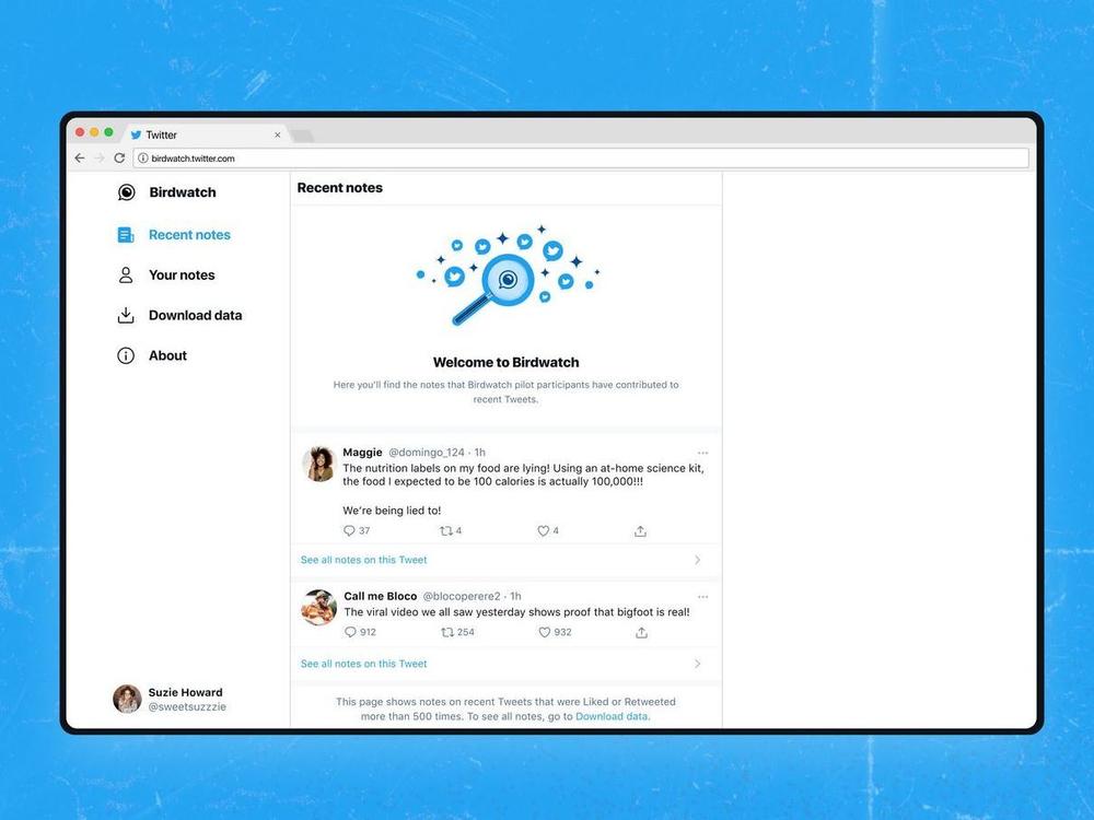 Twitter's new pilot program Birdwatch aims to enlist the social network's users to fact check each other's tweets.