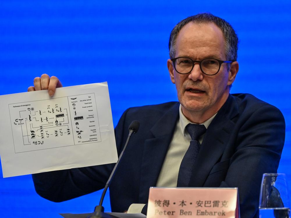 Peter Ben Embarek speaks during a news conference to wrap up a visit by an international team of experts from the World Health Organization in the city of Wuhan, China, on Tuesday.