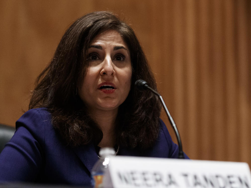 Neera Tanden, President Biden's nominee for director of the Office and Management and Budget, speaks during a Senate Homeland Security and Governmental Affairs Committee confirmation hearing on Tuesday. Tanden apologized for past insults to Republicans.