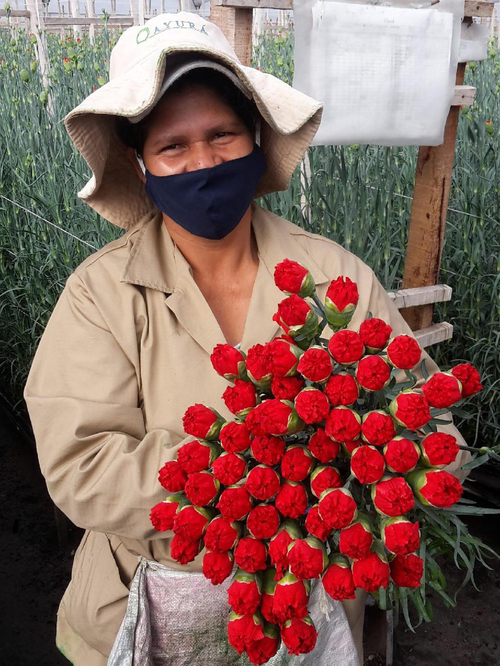 Flor Rodríguez has worked on the Ayurá farm for 14 years. 