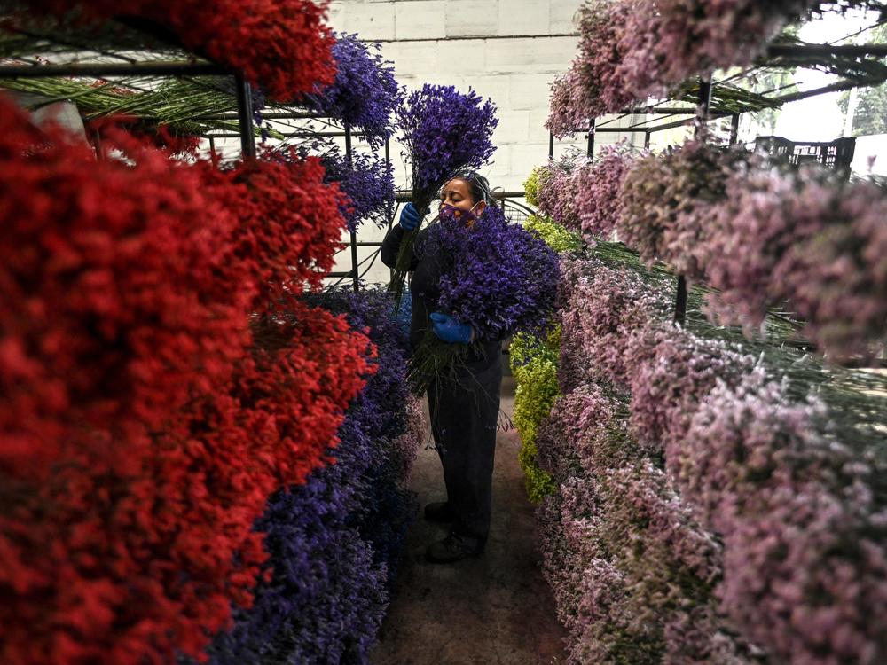 An employee places bouquets on shelves in Bogotá on Feb. 1, as Colombia prepares to export flowers for Valentine's Day amid the new coronavirus pandemic.