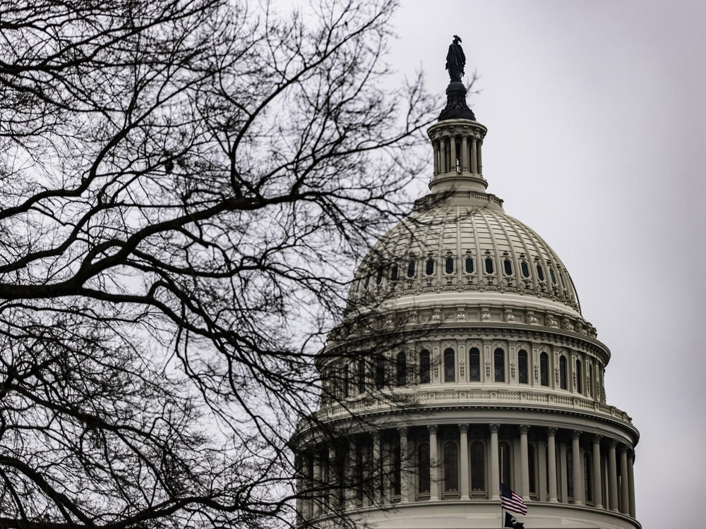 On the third day of the second impeachment trial of former President Donald Trump, House impeachment managers argued that Trump is singularly to blame for the deadly Jan. 6 insurrection on the U.S. Capitol.