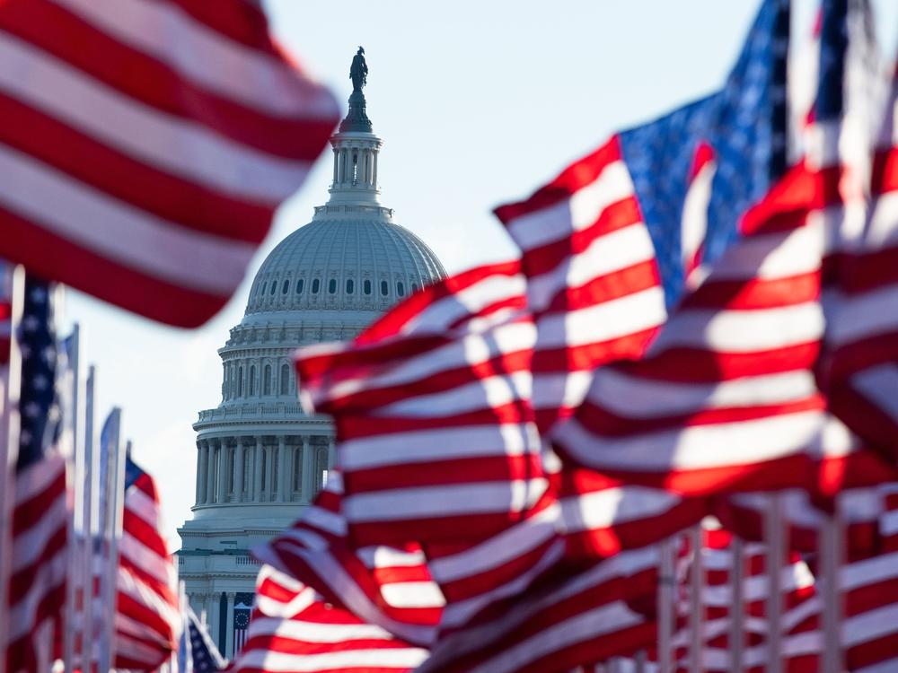 U.S. flags, representing those who could not attend the inauguration due to COVID-19, flutter in the wind at the National Mall in Washington, D.C., on Jan. 20.