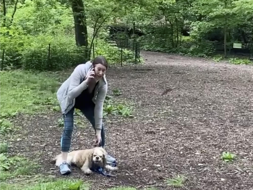 The Manhattan district attorney dropped a charge against Amy Cooper, above, for calling police on a Black man after he asked her to leash her dog in New York's Central Park.